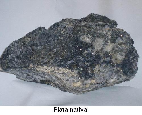 Plata nativa.jpg